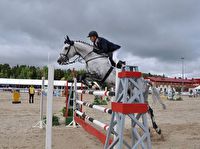 The Ugoria Insurance Company will sponsor the International Horse Show Jumping Tournament