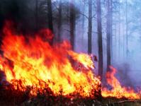 The Itera company got burned in the forest