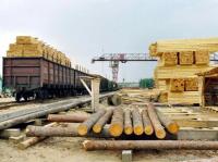 Sverdlovsk Oblast Authorities Looking For Investor To Revive Timber Industry    