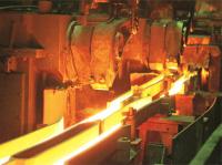 Magnitogorsk Metallurgical Combine Included in IMDS