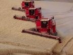 grain_harvester