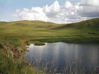 The Kurgan Oblast. Steppe expanses