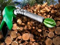 The Tyumen Oblast Plans to Produce Biofuel 