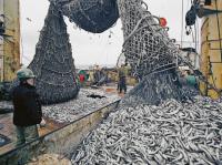 Fishing Season Starts in Yamal