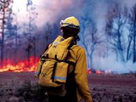 The Ural cluster got into wild fires