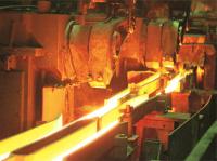 Magnitogorsk Metallurgical Combine Included in IMDS
